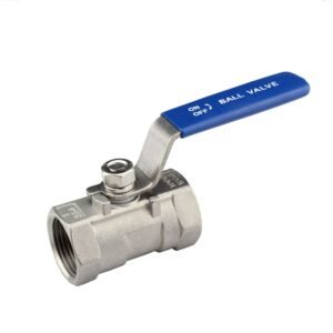 Aquaforce Stainless Steel Check Valve (1 Inch)
